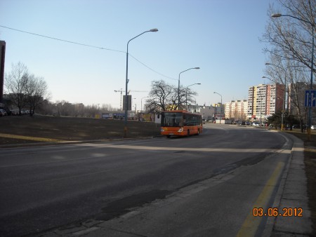 Citelis na Školskom spoji